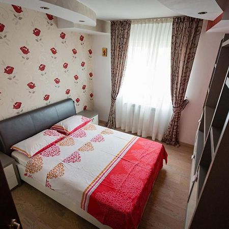 Apartament Danci. Borşa Exterior foto