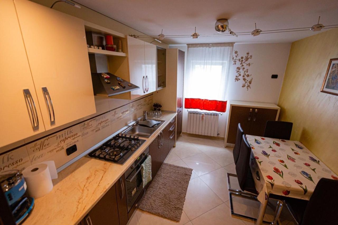 Apartament Danci. Borşa Exterior foto